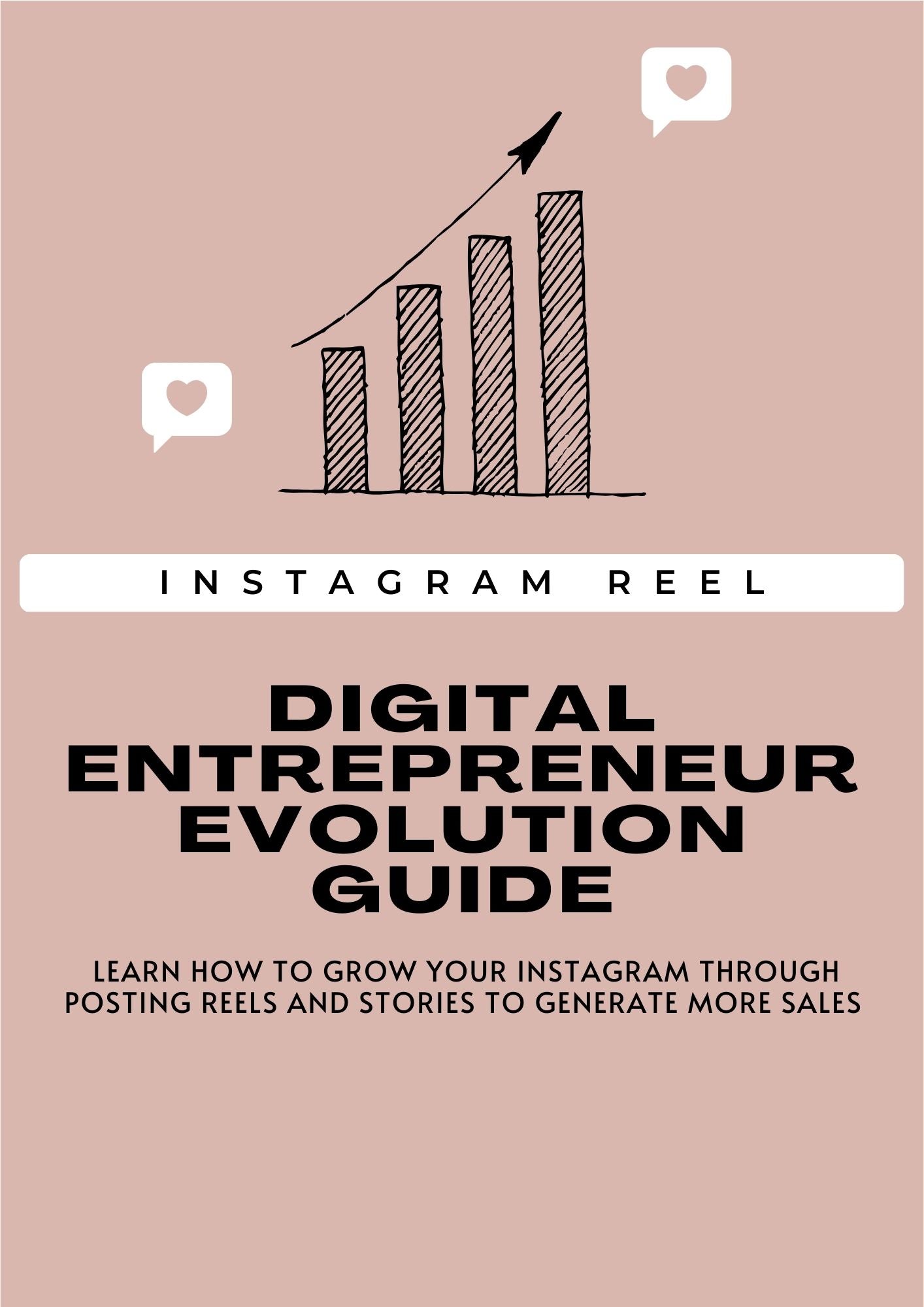 Entrepreneur Evolution Guide w/ MRR